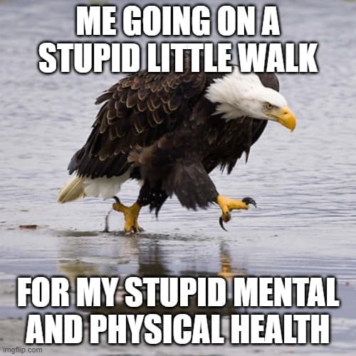 Funny meme of a bald eagle walking with the caption 'Me going on a stupid little walk for my stupid mental and physical health,' highlighting the relatable struggle of doing gentle movement for well-being.